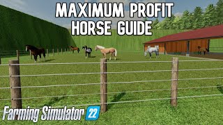 Maximum Profit Horse Guide Farming Simulator 22 [upl. by Gruber]