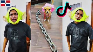 LA LARIN PELEA CON UNA FIERA LOS NUEVOS TIK TOK DE ALFREDO LARIN PARODIA 🇩🇴 [upl. by Strohl]