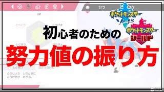 【初心者向け】努力値の簡単な振り方〜ソード・シールド版〜【ポケモン剣盾】 [upl. by Aiotal175]