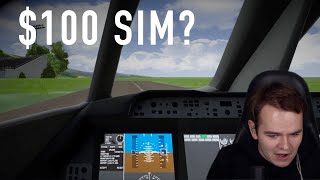 Why This Flight Sim Costs 100 [upl. by Labinnah]