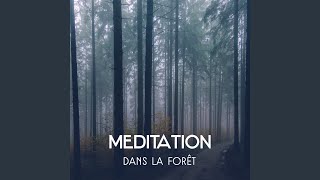 Forêt tranquille  Musique d’ambiance [upl. by Arly495]