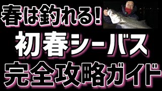 【シーバス】釣れる春が来た！『おすすめルアー』と初春完全ガイド！ [upl. by Ecila]