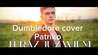 Patriko ft Rembol  Teraz już wiem Dumbledore cover [upl. by Aylmer638]