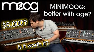 The Moog Minimoog Is It Worth It  The Original vs the Modern Reproduction the Behringer Poly D [upl. by Humph745]