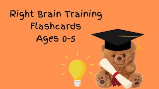 Highspeed flash cards Toddler Learning Memorization [upl. by Merline465]