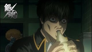 Hijikata funny moments  Gintama quot銀魂quot [upl. by Clayson]