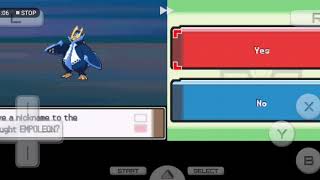 Download Link Pokemon platinum randomizer version android [upl. by Marianna]