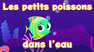 Les petits poissons dans leau  Comptine pour enfant et bébé avec paroles [upl. by Selim]