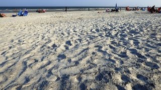 Hilton Head Island Coligny Beach Park At Forest Beach [upl. by Middendorf]