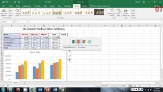 Microsoft Excel Module 9 [upl. by Agneta]