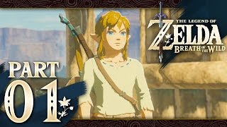 The Legend of Zelda Breath of the Wild  Part 1  Resurrection [upl. by Anatol884]