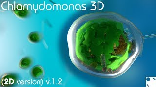 Chlamydomonas 3D  From Biological Cells to Biofuels 2D version 12 [upl. by Adrianna450]