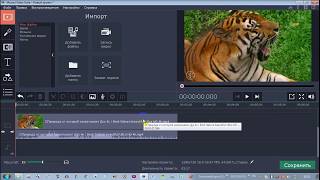 Обрезка видео в программе Movavi Video Editor [upl. by Doubler16]