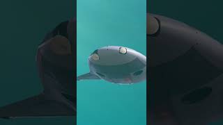 Manta Ray the US Sea Drone [upl. by Joses]