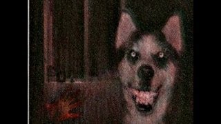 quotSmile Dogquot Creepypasta [upl. by Nims]