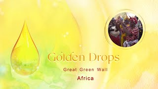 Golden Drops  Great Green Wall Africa [upl. by Alihet]