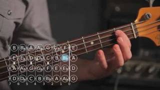 How to Play an F Major Scale  Bass Guitar [upl. by Sikleb]