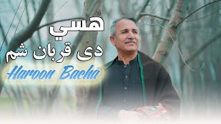 Haroon Bacha  Hasy  Pashto Song  Harion bacha  هسي دي قربان شم 2024 Kahani Sonu 2024 [upl. by Hafinah]