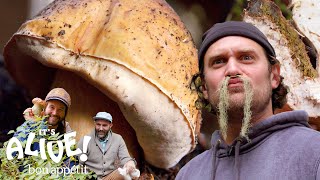 Brad Forages for Porcini Mushrooms  Its Alive  Bon Appétit [upl. by Lehplar]