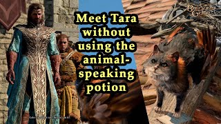 Baldurs Gate 3  Meeting Tara The Tressym without using the AnimalSpeaking Potion 🐱 [upl. by Ahsenak979]