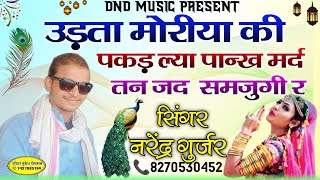 उड़ता मोरीया की पकड़ ल्या पान्ख मर्द तन जद समजुगी र New Viral Song 2024 Singer Narendra Gurjar [upl. by Mary]