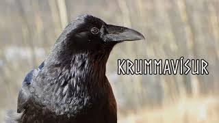 Krummavísur  Icelandic Folk song from 1861 [upl. by Eirac]