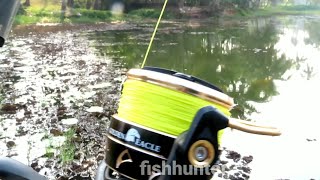 പുതിയ റീൽ വാങ്ങിയപ്പോൾ new fishing reel lucana golden eagel [upl. by Killigrew577]