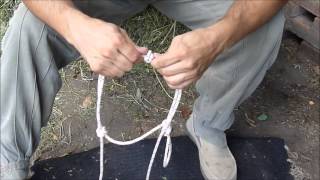 Como hacer Jáquima cabezal o bozal de cuerda Rope Halter  con Cristobal Scarpati [upl. by Imerej]