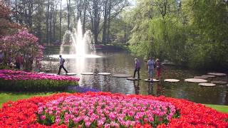 Keukenhof by drone [upl. by Paresh]