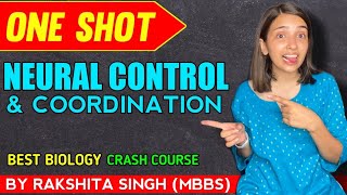 Neural Control And Coordination  One Shot Class 11 NCERT  Rakshita singh [upl. by Erodisi]