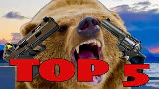 Updated Top 5 Firearms for Alaska Brown Bear Defense I Was WRONG [upl. by Godbeare]