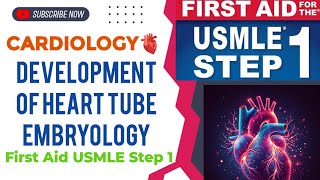 Development of heart tube Embryology Cardiology 1  First Aid USMLE Step 1 in UrduHindi [upl. by Drofniw]