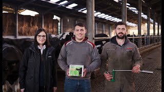 Dairy Farmer Owain Rees sets his cows up for calving with Tracesure Cattle XL [upl. by Asilem]