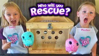 Rescued Crate Creatures We Found them Scruffy and MakeThem Fluffy Scruff a Luvs Toy Unboxing [upl. by Teirtza]