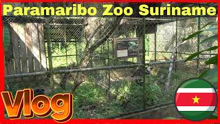 Paramaribo Zoo Suriname Moet Het Anders [upl. by Darrelle]