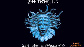 Shpongle  Shpongle Falls [upl. by Ahsenahs]