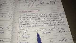 Curtius Rearrangement MSc 2nd Semester [upl. by Acsirp546]