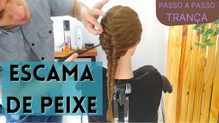 Trança Escama de Peixe  Mini Tutorial [upl. by Swinton]