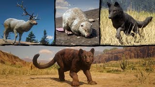 Playing as Legendary Animals in Red Dead Redemption 2 PC → Legendary  Panther Beaver Coyote Elk [upl. by Iel]