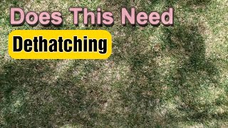 How To Know If Your Lawn Needs Dethatching [upl. by Peri]