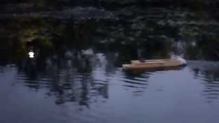 Sternwheeler first test in pond [upl. by Retsel]