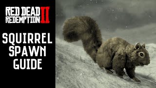 Red Dead Redemption 2  All Squirrel Locations  American Red Western Gray amp Black RDR2 [upl. by Lizabeth58]