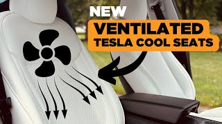 Yes I got VENTILATED Tesla Seats for the Model Y tlyard tesla [upl. by Viridi]