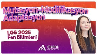 Mutasyon Modifikasyon Adaptasyon  LGS 2025 [upl. by Ahsrats]