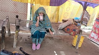 Larkana tour Pakistan village life vlog  faryal shoaib [upl. by Ardua]