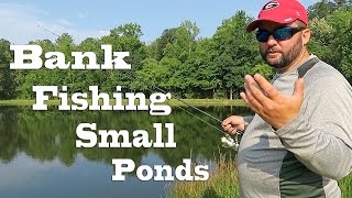 Bank Fishing  How to Fish Small Ponds in the Summer [upl. by Onfre]