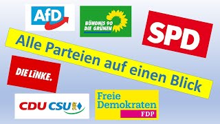 Alle Parteien in Deutschland  kurz erklärt  Bundestagswahl 21  Politik [upl. by Ibur]