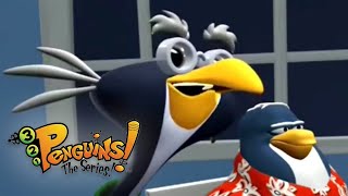 Wise Guys  321 Penguins Full Episodes  Kids Shows [upl. by Amlet933]