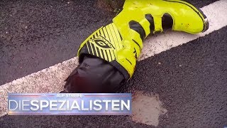 Abgetrennter Fuß von Biker gefunden  Wo ist der Rest  Auf Streife  Die Spezialisten  SAT1 TV [upl. by Namzzaj]