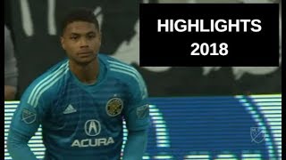 Zack Steffen Best Saves MLS 2018 [upl. by Eittam]